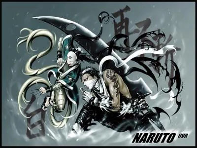 Zabuza et Haku font-ils partie du manga Naruto ?