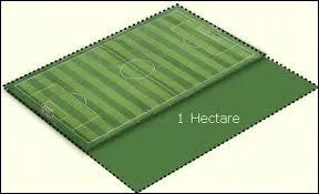 Science : combien y a-t-il de mtres carrs dans un hectare ?