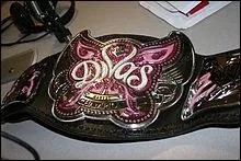 Qui a t  Divas Champion  avant Eve ?
