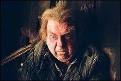 Qui est tu par Peter Petigrow ?