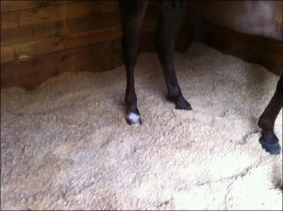 Une litire en bateau c'est :