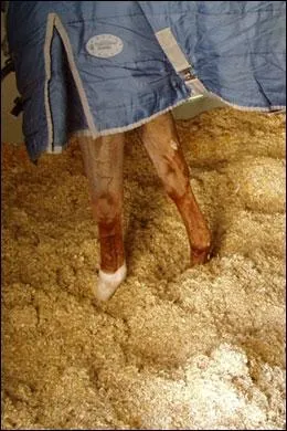 Une litire peut-tre compose de :