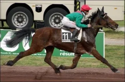 Le trot est une allure :