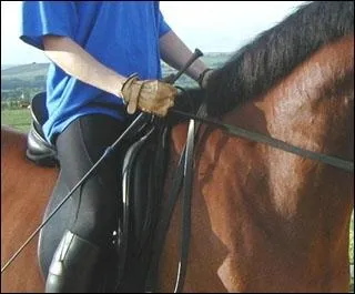 Lorsque vous tournez une rne dans chaque main, vous tournez par effet :