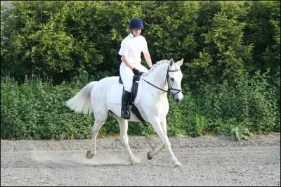 Pourquoi changer de bipde diagonal (en balade, par exemple) ?