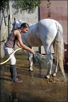 Doucher le corps de sa monture permet de :