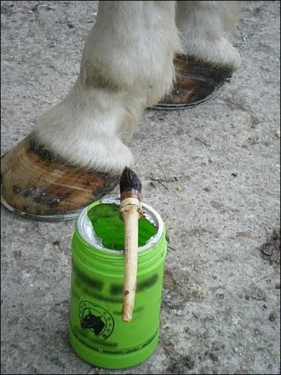 Vous graissez les pieds avec :