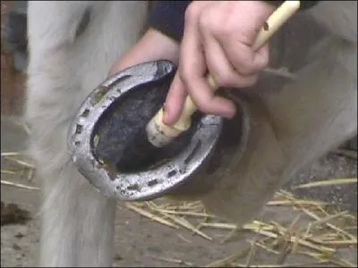 Pourquoi graisser les sabots ?