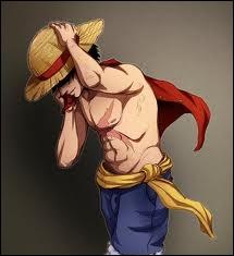 O tait Luffy pendant les 2 ans ?