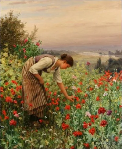 Femme cueillant les coquelicots
