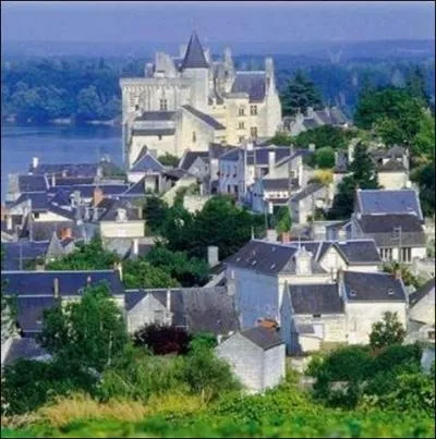 Premire sentinelle ligrienne au Sud de l'Anjou. Au bord de quel fleuve se mire le village de Montsoreau, ppite de blanc tuffeau ?