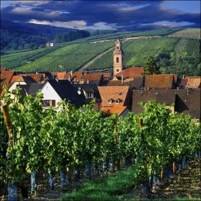 Protg par ses remparts, ce bourg alsacien possde un remarquable ensemble de maisons et faades du XVIme sicle, miraculeusement prserves ... .