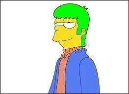 J'ai fait un photomontage d' Homer dans sa jeunesse avec une magnifique chevelure verte . Quelle est en ralit la couleur de ses cheveux d'origine ?