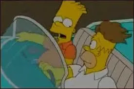 Dans l'pisode  Future Drama   , quelle est l'origine de la magnifique chevelure d'Homer ?