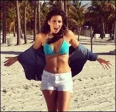 Sur cette photo c'est le clip. .