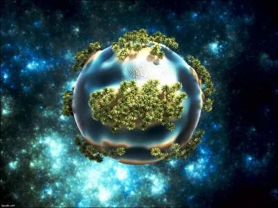 Si vous aviez un nom  donner  cette plante, lequel serait-ce ?