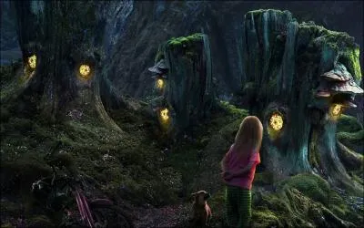  premire vue, on dirait des yeux jaunes mais en fait, ce sont ...