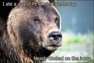 Durant un voyage de pche, en Alaska, vous campez sur place, vous devez imprativement suspendre votre canne  pche en hauteur, la nuit !