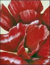 Deux pétales de tulipe, (... ) tes lèvres,