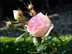 - s'il me l'a (... ), c'est pour te le (... ). »