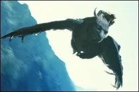 C'est un dragon, a oui. C'est une fille, a oui. Mais quel est son nom et  qui appartient-elle ?