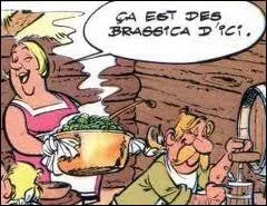 Cette femme belge se prnomme Amoniake. Elle apparat dans l'album  Astrix chez les Belges .