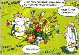 Ce druide qui fait pousser de magnifiques fleurs se nomme Baromtrix.