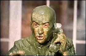 Quel est le titre de ce film ?