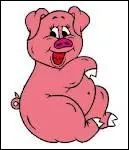 Comment est appele la jeune femelle du porc leve pour la reproduction ?