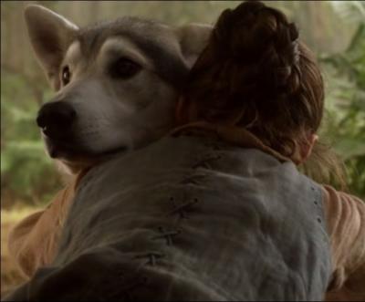 Dans le premier pisode, les enfants Stark dcouvrent une louve morte qui vient de mettre au monde 6 louveteaux. Chaque enfant en rcupre donc un pour lui. Comment s'appelle la louve d'Arya ?