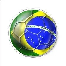 2014 : Quel pays accueillit la Coupe du monde 2014 ?