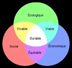 Quel rapport rdig en 1987 et ayant servi de base de travail pour le sommet de la Terre de 1992, a popularis la notion de dveloppement durable ?
