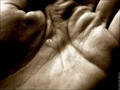 En 2050, d'aprs les projections, combien y aura-t-il d'humains sur Terre ?