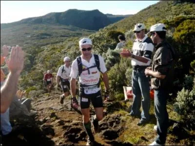 La "Diagonale des Fous" est une épreuve sportive qui a lieu chaque année en octobre. Réputée pour être une des plus difficiles du monde, c'est une course à pied qui consiste à traverser l'île de...