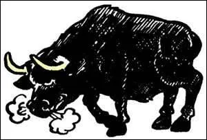 Tout comme le volcan, Monsieur Poncif a des ... ... . qui lui sortent du nez lorsqu'il est en colre.