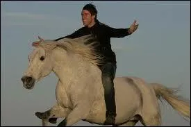 Qui est ce cavalier ?