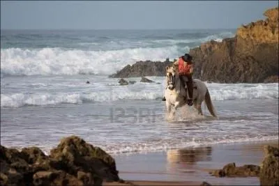 Mais avant, qu'est-ce qu'il est bon de faire ?