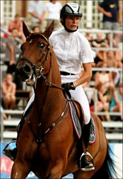 Comment dcrivez-vous l'attitude de ce cheval ?