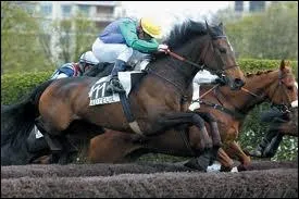 Et un cheval de course de saut ?