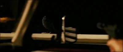 Anton touche-t-il l'oiseau sur le pont ?