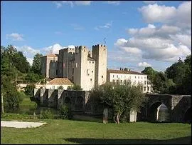 Il appartenait au roi Henri IV, situ sur la Glise affluent de la Base. Aujourd'hui proprit du syndicat intercommunal de Nrac, Barbaste Lavardac, en Lot-et-Garonne. Quelle est sa particularit ?