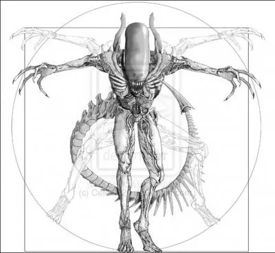 Quel monstre cinmatographique a pris la place del'homme de Vitruve ?