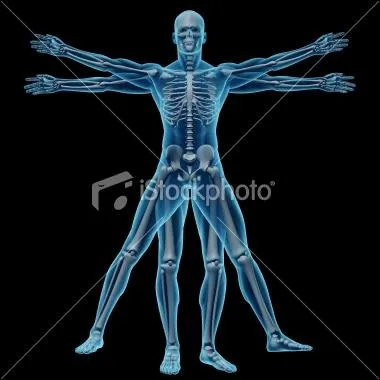 Homme de Vitruve en version...