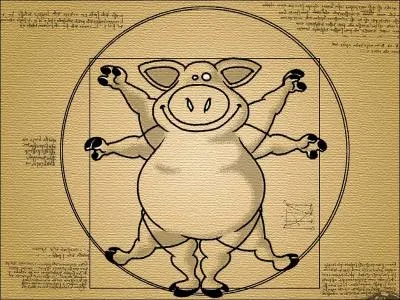 Homme de Vitruve transform en...