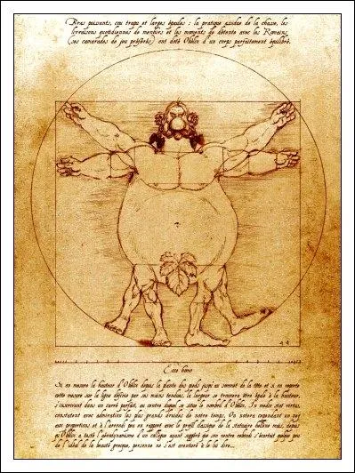Quel gaulois a remplac l'homme de Vitruve sur cette image ?