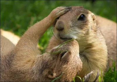 Nous sommes nombreux  nous poser la question : Que serais-je sans toi ?