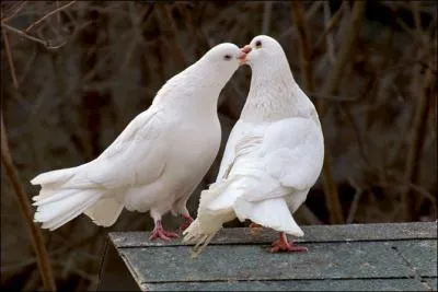 J'ai encore rv d'elle !