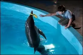 De quel film vient cette image ?