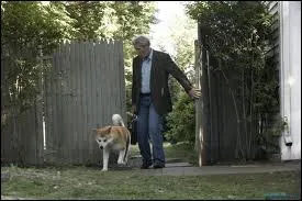 De quel film vient cette image ?