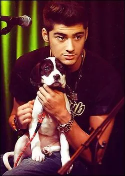 Quel est son nom entier ?